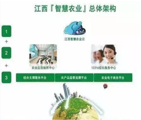 江西省農業農村廳智慧農業建設PPP項目監理服務項目